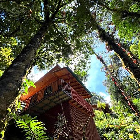 Cabana Anturios San Jose  Luaran gambar
