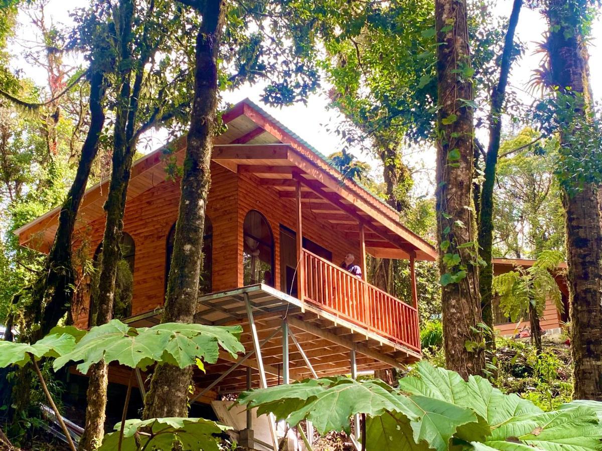 Cabana Anturios San Jose  Luaran gambar