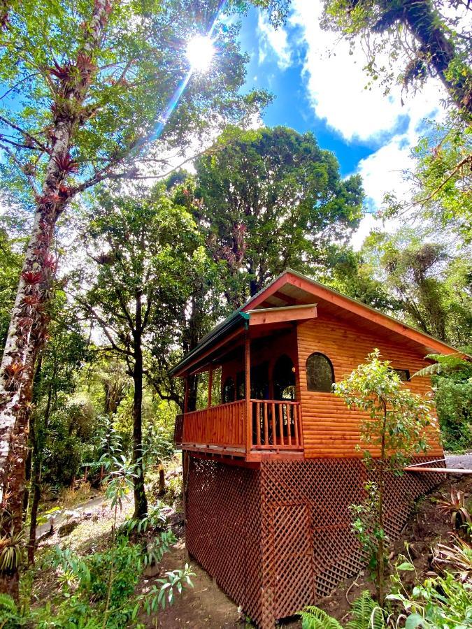 Cabana Anturios San Jose  Luaran gambar