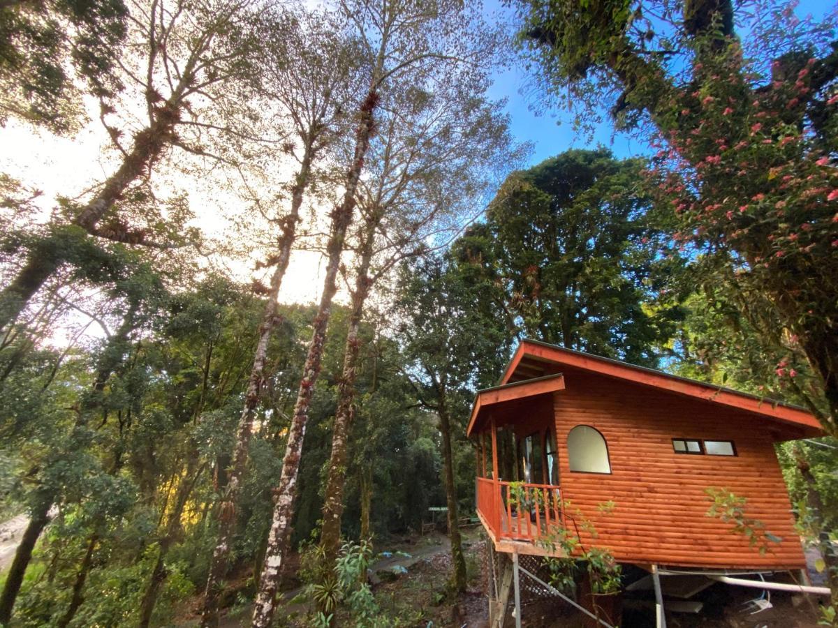 Cabana Anturios San Jose  Luaran gambar