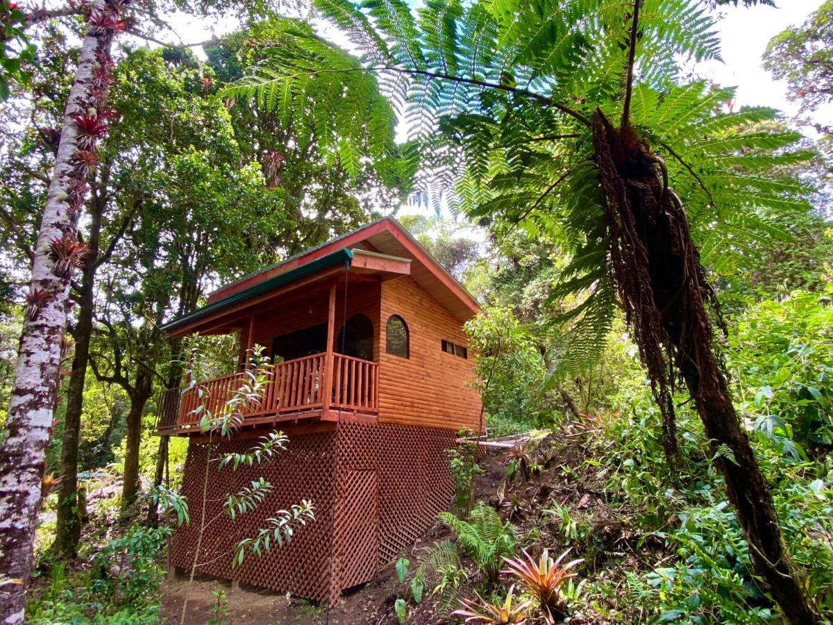 Cabana Anturios San Jose  Luaran gambar