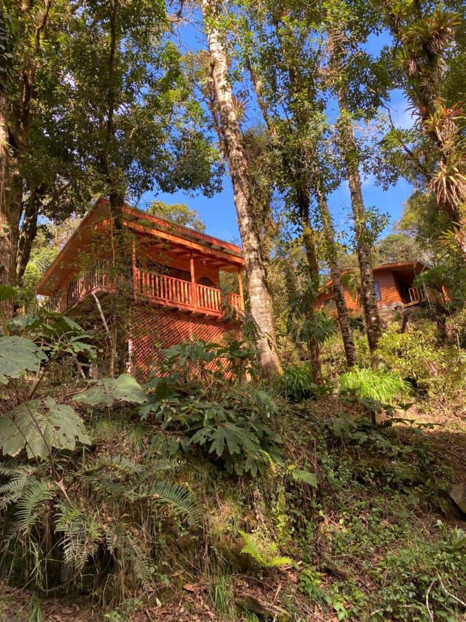 Cabana Anturios San Jose  Luaran gambar