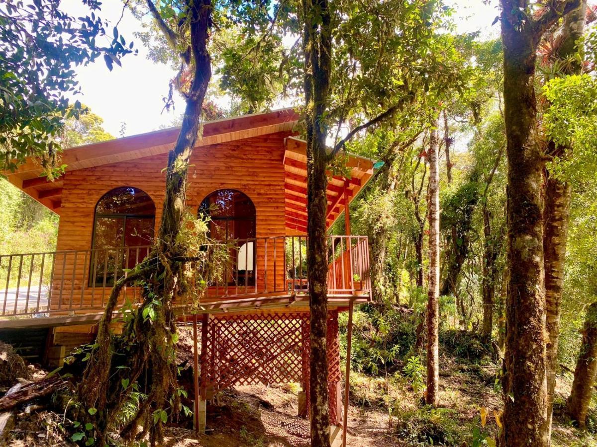 Cabana Anturios San Jose  Luaran gambar