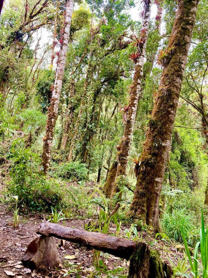 Cabana Anturios San Jose  Luaran gambar