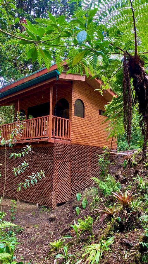 Cabana Anturios San Jose  Luaran gambar