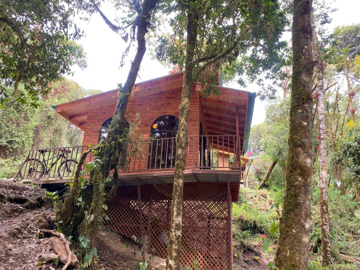 Cabana Anturios San Jose  Luaran gambar