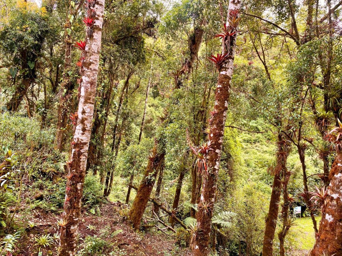 Cabana Anturios San Jose  Luaran gambar