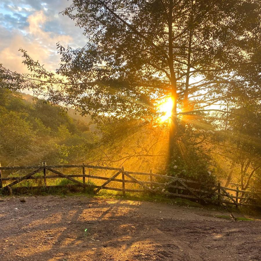Cabana Anturios San Jose  Luaran gambar