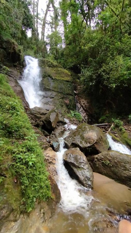 Cabana Anturios San Jose  Luaran gambar