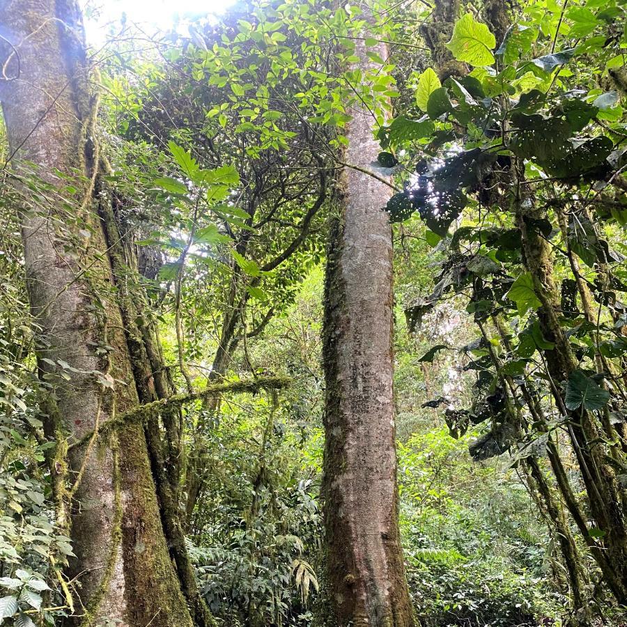 Cabana Anturios San Jose  Luaran gambar
