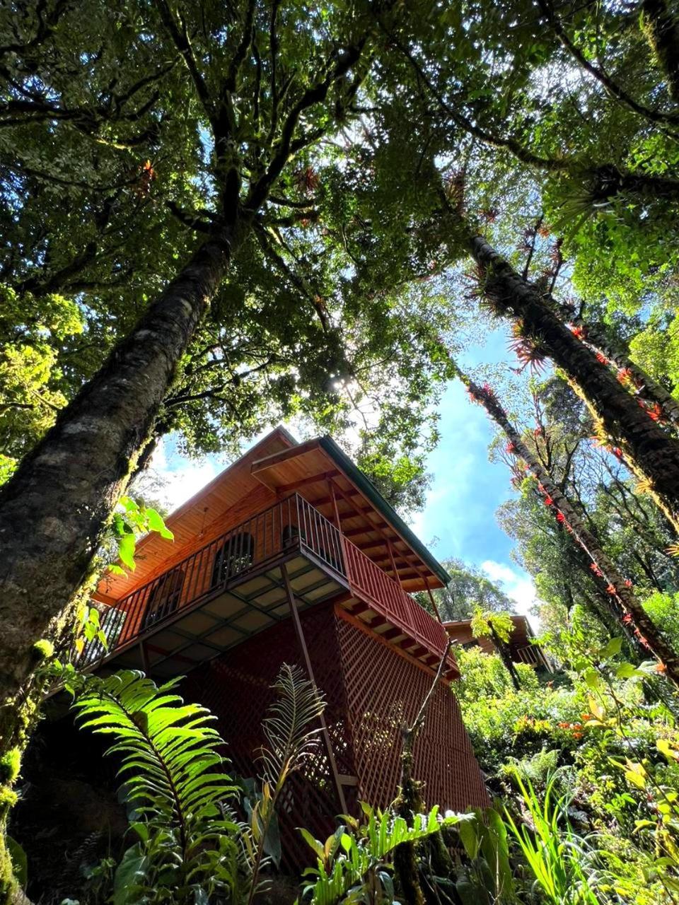 Cabana Anturios San Jose  Luaran gambar