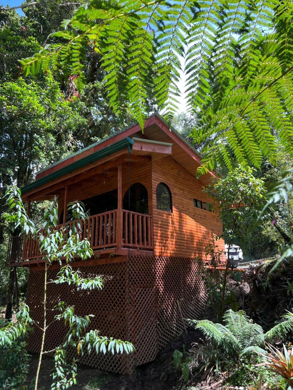 Cabana Anturios San Jose  Luaran gambar