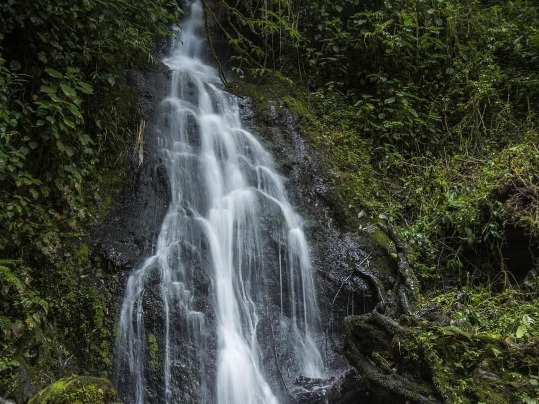 Cabana Anturios San Jose  Luaran gambar