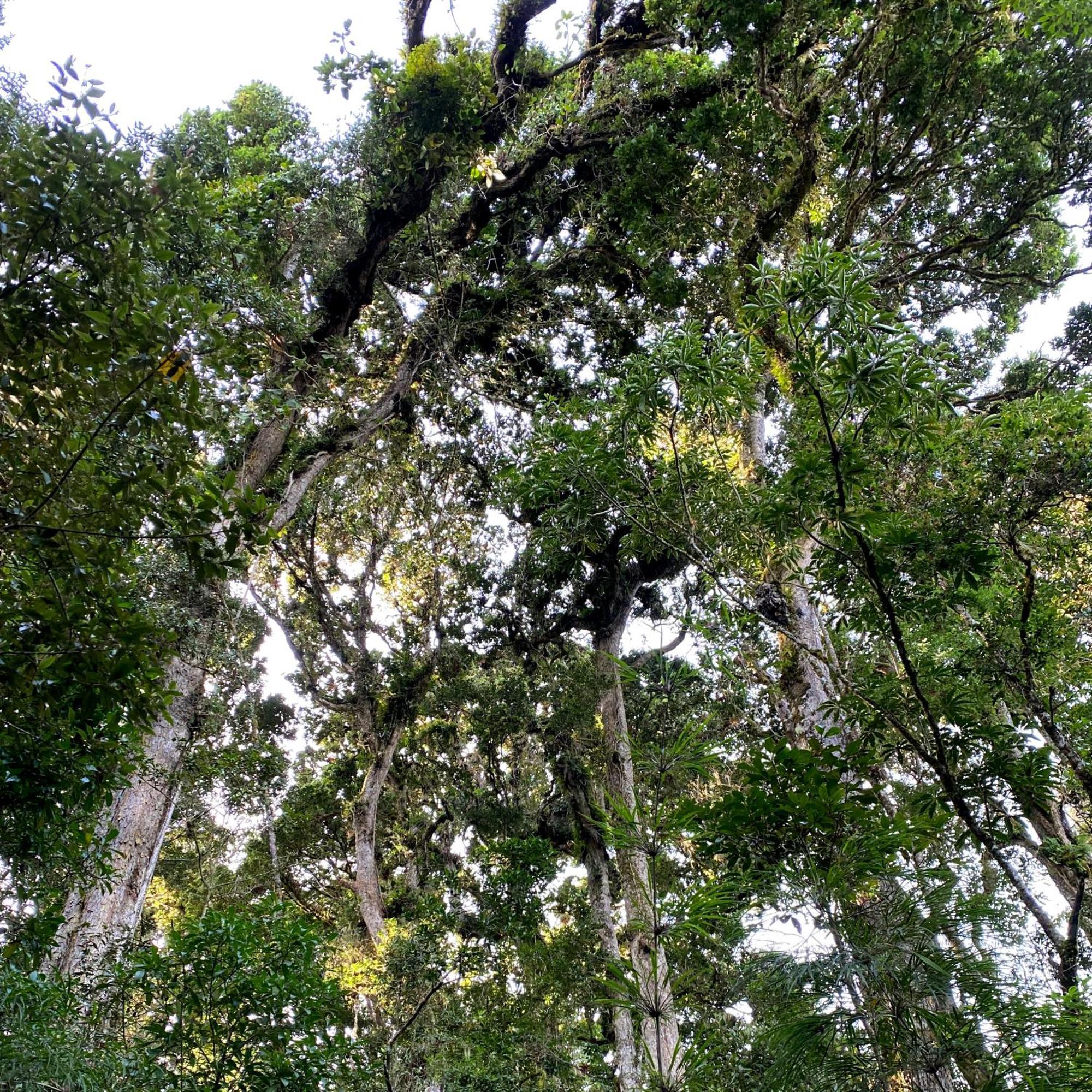 Cabana Anturios San Jose  Luaran gambar