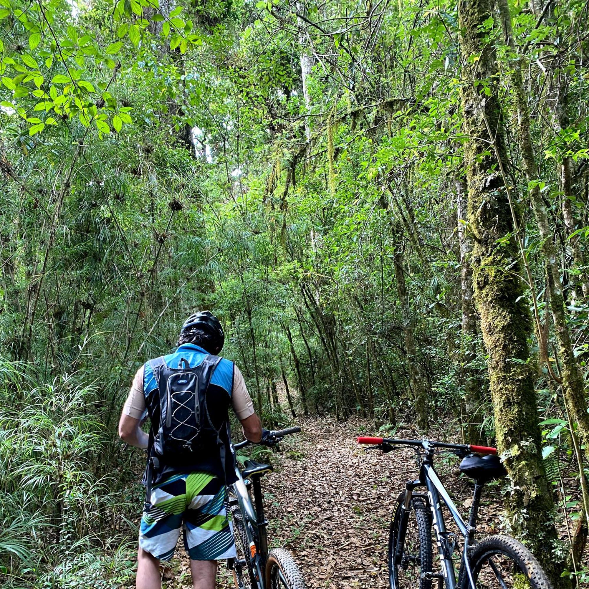 Cabana Anturios San Jose  Luaran gambar
